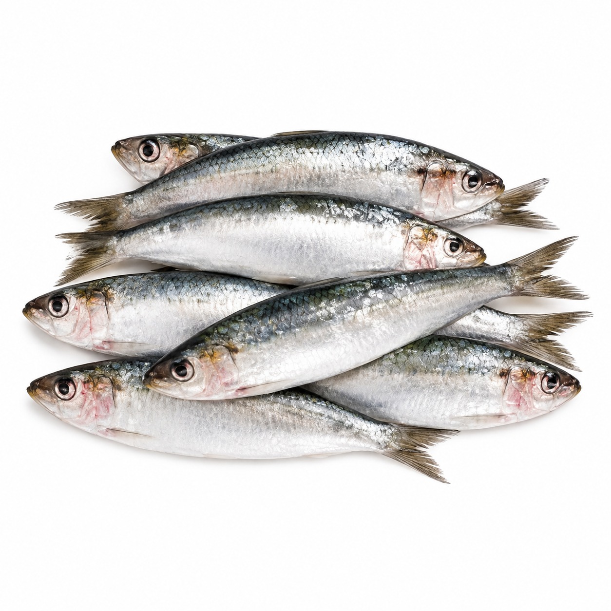 Hele rauwe sardines