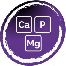 Symbolen van calcium, fosfor en magnesium
