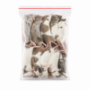 Veeltepelmuis 25-40 g - 10 stuks